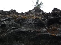 otta Intraleo-20100515 043